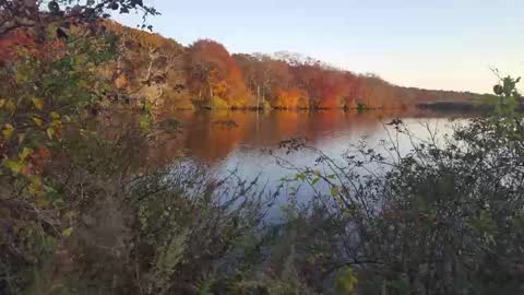 Snapshot of islandguy70 chatting on 23, 2, 2025 Jim online show from 23, 2, 2025