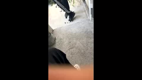 itsjayyourbae online show from 18, 2, 2026