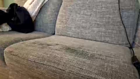 Snapshot of itsjeroen chatting on 2, 11, 2025 itsjeroen online show from 2, 11, 2025