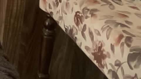 Snapshot of itsmylife021 chatting on 11, 11, 2025 Raje online show from 11, 11, 2025