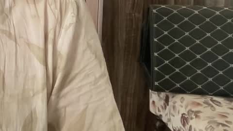 Snapshot of itsmylife021 chatting on 26, 11, 2025 Raje online show from 26, 11, 2025