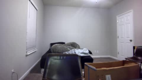 Snapshot of itstarzan chatting on 13, 12, 2024 TARZAN online show from 13, 12, 2024