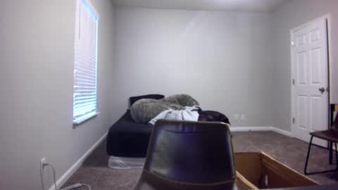 Snapshot of itstarzan chatting on 13, 12, 2024 TARZAN online show from 13, 12, 2024