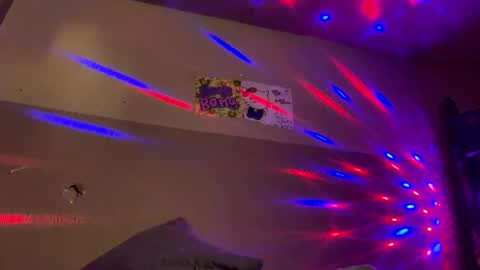 BellaMiaHerChicoBestia online show from 29, 12, 2024