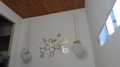 Adris online show from 2, 3, 2025