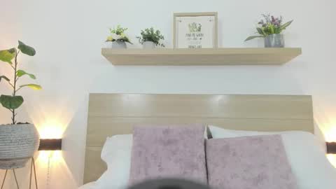 I V E T T E online show from 12, 2, 2026