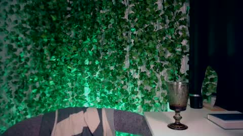 Snapshot of ivyjonson chatting on 28, 12, 2024 Miss Ivy online show from 28, 12, 2024