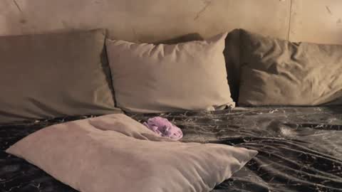 izi online show from 19, 2, 2025