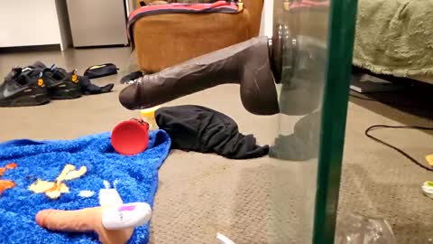 Snapshot of j220231 chatting on 4, 12, 2025 j220231 online show from 4, 12, 2025