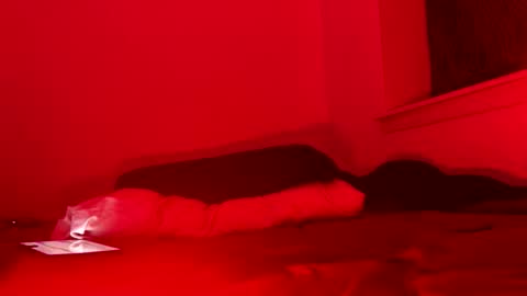 Snapshot of j4ckoff chatting on 22, 11, 2025 j4ckoff online show from 22, 11, 2025