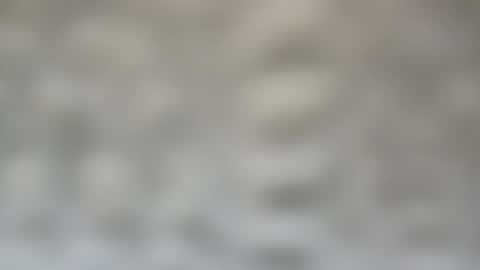 j727551 online show from 15, 2, 2025