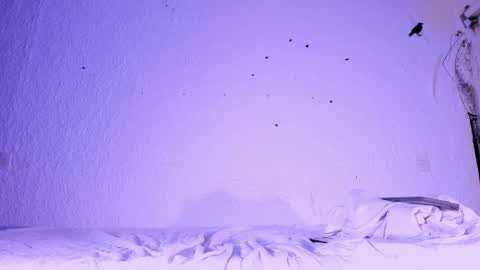 Snapshot of j_martony chatting on 5, 11, 2025 j_martony online show from 5, 11, 2025