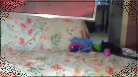 JACKSLUT BUY ME . FAN CLUB MEMBERS AND THOSE WHOM THE MEMBERS INDICATE SISY SLUT PROVIDES THEM  FREE SERVICES online show from 8, 3, 2025