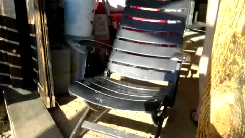 jackeduplittlejoey online show from 18, 4, 2026