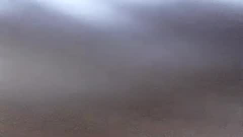 Snapshot of jacksonroy_ chatting on 17, 7, 2026 jacksonroy online show from 17, 7, 2026