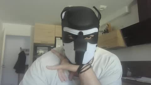 Snapshot of jackstoun_puppy chatting on 3, 3, 2025 ENygma online show from 3, 3, 2025