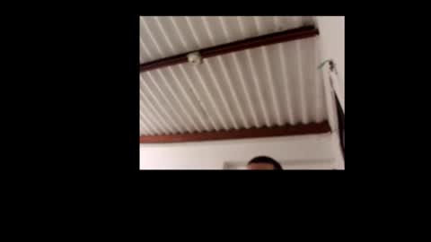 Snapshot of jacob_smith10 chatting on 22, 9, 2025 jacob_smith10 online show from 22, 9, 2025