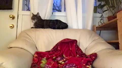 Jacob online show from 22, 2, 2026