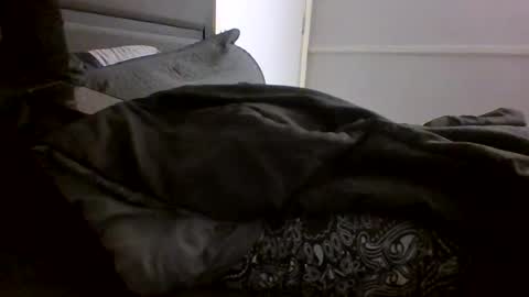 Jamacian online show from 28, 1, 2025