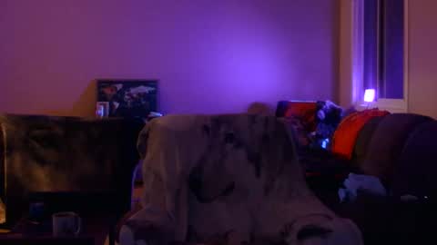 Snapshot of jameswolf777 chatting on 19, 12, 2025 jameswolf777 online show from 19, 12, 2025