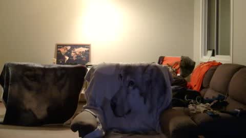 Snapshot of jameswolf777 chatting on 22, 12, 2025 jameswolf777 online show from 22, 12, 2025