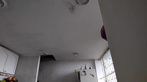 janariivera1 online show from 6, 1, 2026