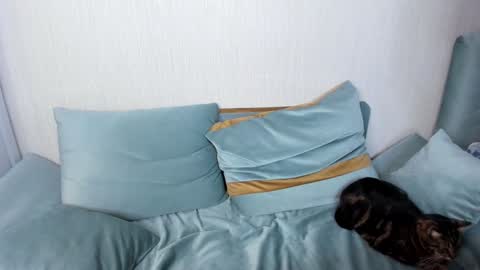 Snapshot of jane_modelxx chatting on 25, 1, 2025 Jane online show from 25, 1, 2025