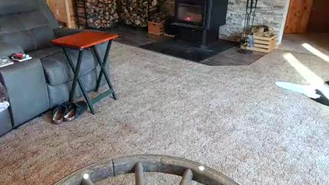 janeen- online show from 10, 2, 2025