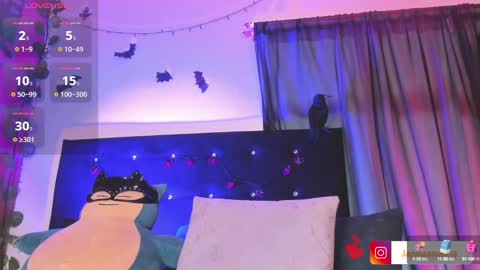 jannaasuna online show from 27, 12, 2024