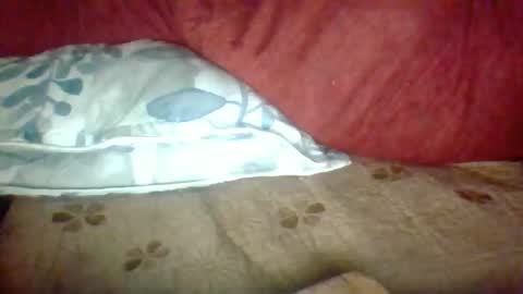 Snapshot of janneparker chatting on 25, 11, 2025 Janne online show from 25, 11, 2025