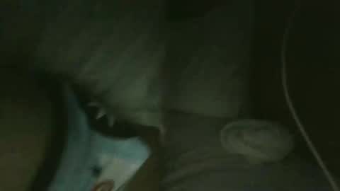 Snapshot of jarrettdainty559 chatting on 18, 12, 2025 jarrettdainty559 online show from 18, 12, 2025