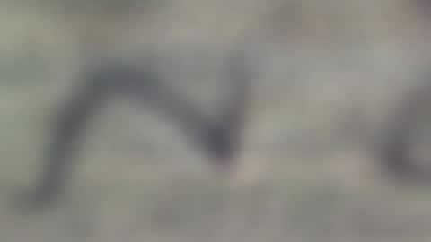 Snapshot of jason2019845210 chatting on 29, 10, 2025 jason2019845210 online show from 29, 10, 2025