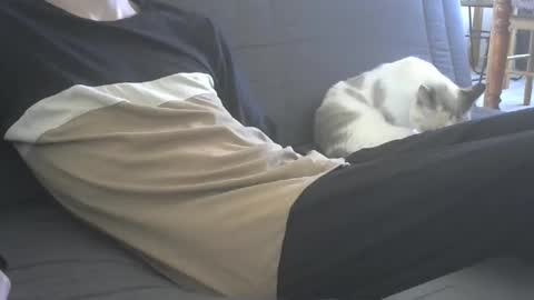 Snapshot of jasper_0_e23cm chatting on 21, 9, 2025 jasper 0 e23cm online show from 21, 9, 2025