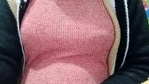 Snapshot of jasspreettt chatting on 4, 1, 2025 jasspreettt online show from 4, 1, 2025