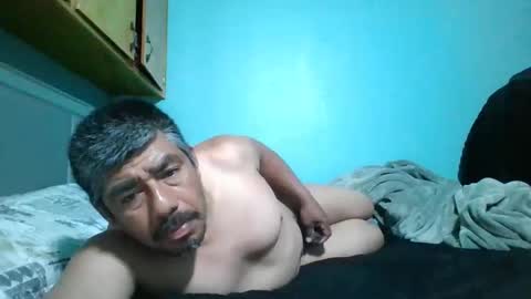 javasq online show from 24, 2, 2026