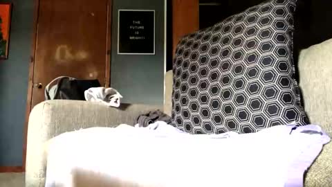 Snapshot of jawssharkparty chatting on 10, 9, 2025 Jaws online show from 10, 9, 2025