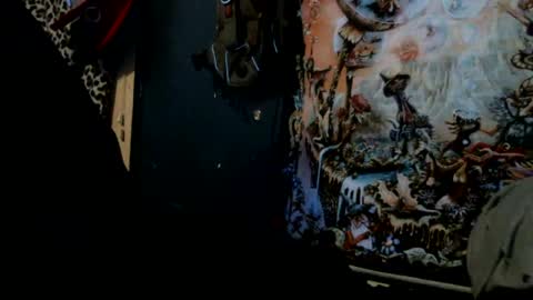 Snapshot of jax_skyfallin chatting on 28, 1, 2025 jaxxx666 online show from 28, 1, 2025