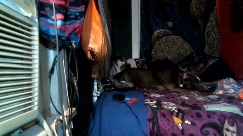 Snapshot of jax_skyfallin chatting on 25, 2, 2025 jaxxx666 online show from 25, 2, 2025