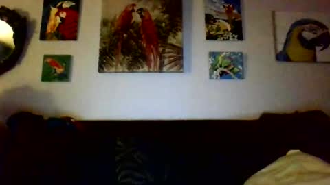 Snapshot of jay_jay1475 chatting on 17, 12, 2024 jay-jay1475 online show from 17, 12, 2024