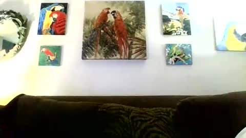 Snapshot of jay_jay1475 chatting on 16, 1, 2025 jay-jay1475 online show from 16, 1, 2025