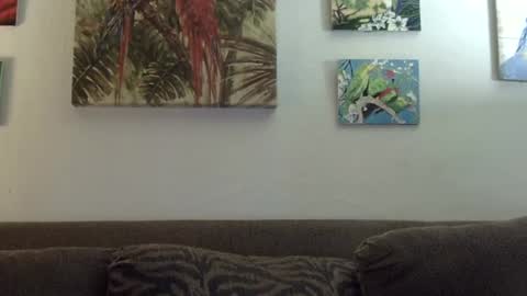 Snapshot of jay_jay1475 chatting on 21, 1, 2025 jay-jay1475 online show from 21, 1, 2025