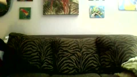 Snapshot of jay_jay1475 chatting on 6, 2, 2025 jay-jay1475 online show from 6, 2, 2025