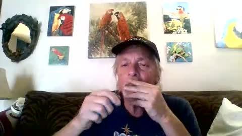 Snapshot of jay_jay1475 chatting on 8, 2, 2025 jay-jay1475 online show from 8, 2, 2025