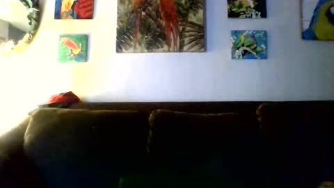 Snapshot of jay_jay1475 chatting on 11, 2, 2026 jay-jay1475 online show from 11, 2, 2026