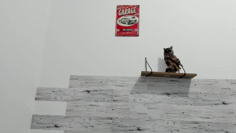 Jaycreedd online show from 23, 2, 2025