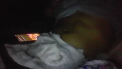 jaywulf22 online show from 19, 1, 2026