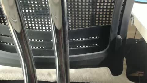 Snapshot of jc200000 chatting on 17, 2, 2025 jc200000 online show from 17, 2, 2025