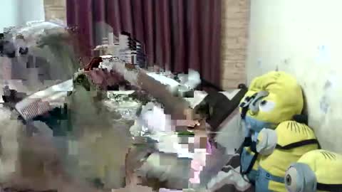 Snapshot of jdan81 chatting on 28, 9, 2025 GorgeousCASSIE online show from 28, 9, 2025