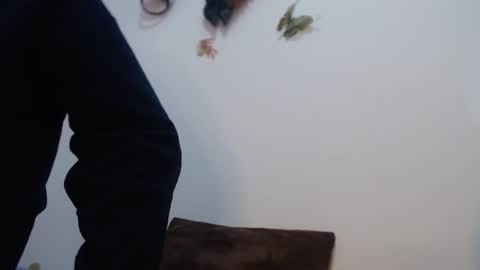 Snapshot of jeans_and_emma chatting on 4, 3, 2025 jeans_and_emma online show from 4, 3, 2025