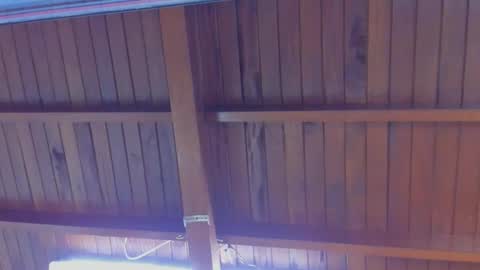 jeicob gagnon online show from 21, 2, 2025